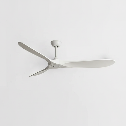 Collection image for: Grand Lustre Ventilateur