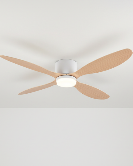 Main Variation 1 - Lustre Ventilateur Plafond Bas Noir Silencieux