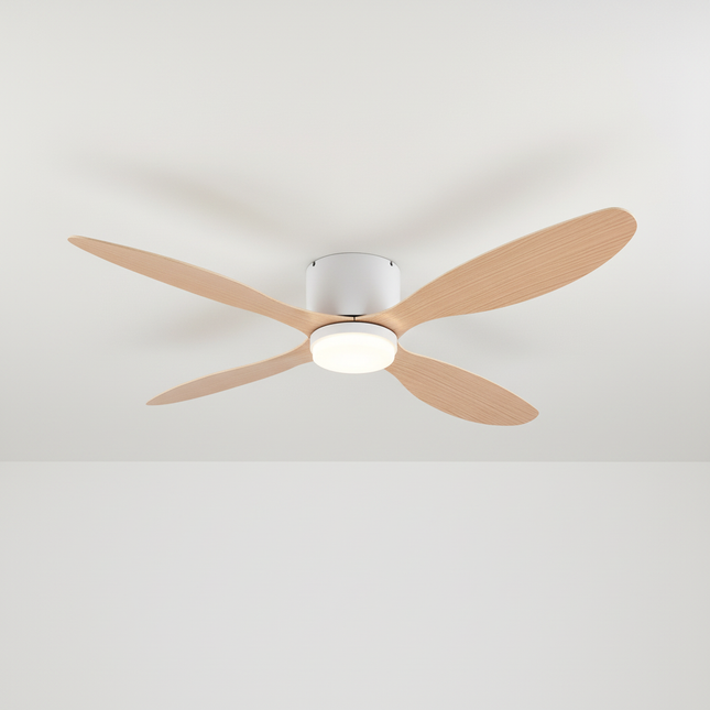 Main Variation 1 - Lustre Ventilateur Plafond Bas Noir Silencieux