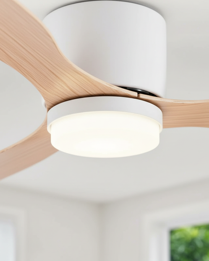 Main Variation 4 - Lustre Ventilateur Plafond Bas Noir Silencieux