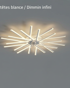 20 têtes blanches / Dimmin infini
