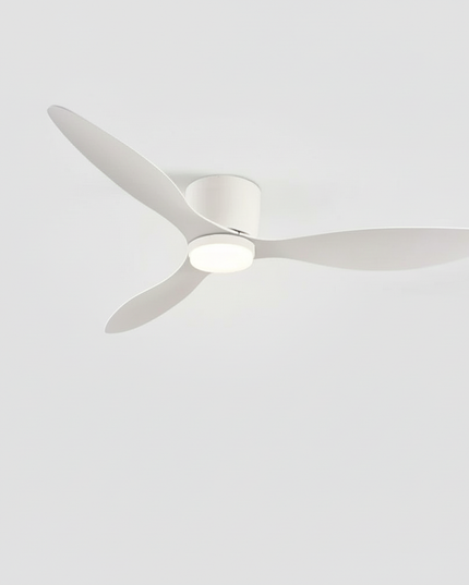 Lustre Ventilateur Basse Hauteur Noir LED Silencieux - Vue 3