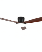 Modèle 3 / 52 pouces / 220 V