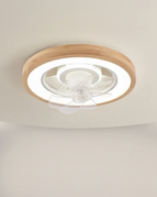 96 cm - 220 V / Télécommande à intensité variable 220 V