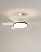 Un noyer D152cm / Luminosité réglable