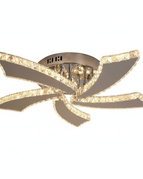 warm light / Russian Federation