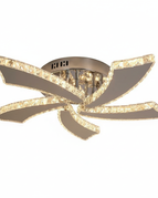 warm light / United States