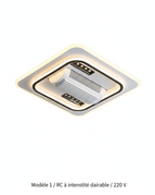 Modèle 1 / RC à intensité variable / 220 V