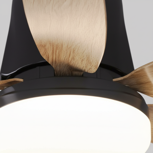 Lustre Ventilateur E27 RGB Musique - Vue 2