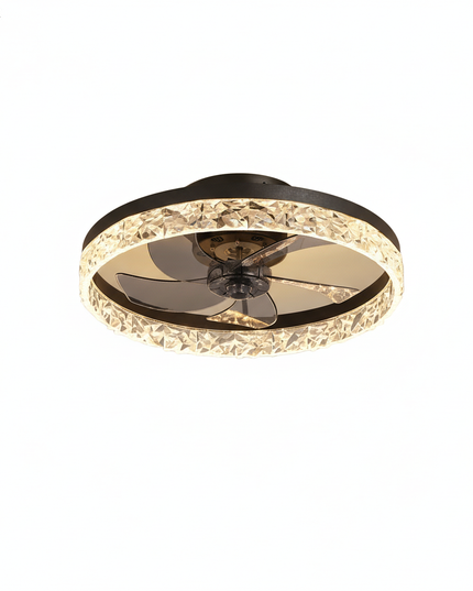 Lustre Ventilateur Fer Noir Silencieux Télécommande - Vue 1