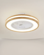 Variable (Télécommande + Application) / Télécommande à intensité variable 220 V