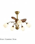 B - 56 cm - 5 Lumières / 50 cm