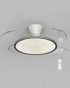 B1 - Noyer / variateur à distance