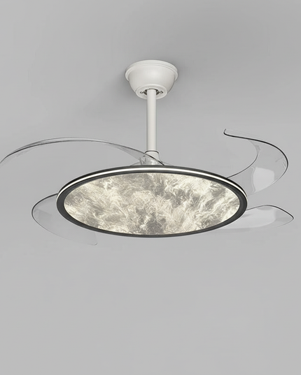 Lustre Ventilateur Plein Spectre Bois Anthracite - Vue 1