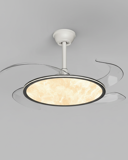 Lustre Ventilateur Plein Spectre Bois Anthracite - Vue 3