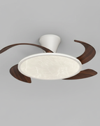 B2 - Noyer / variateur à distance