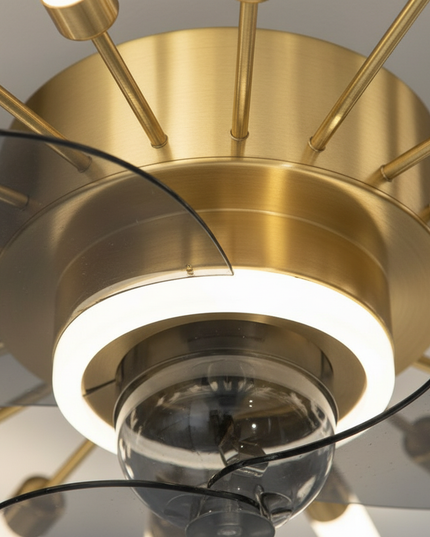 Lustre Ventilateur Rétractable Noir Dimmable - Vue 2