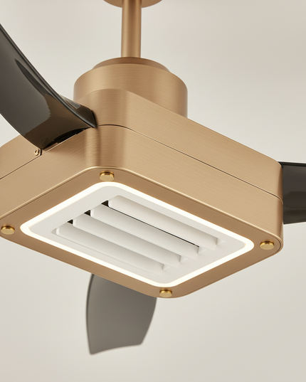 Lustre Ventilateur Rétractable Noir Dimmable - Vue 2