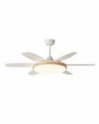 A - Blanc Ø 142 cm / Variation de luminosité