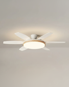 B - Blanc Ø 132 cm / Variation de luminosité