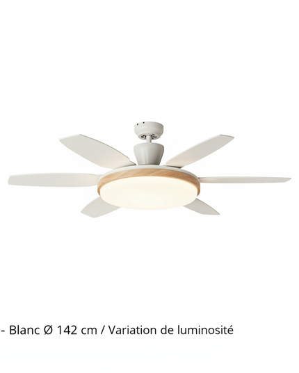 Lustre Ventilateur Rétro Crème Noyer LED - B - Blanc Ø 142 cm / Variation de luminosité