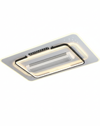 Modèle 1 / RC à intensité variable / 110 V