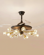 18 têtes noires / Télécommande